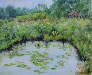 The Wildlife Pond and Borrowed View