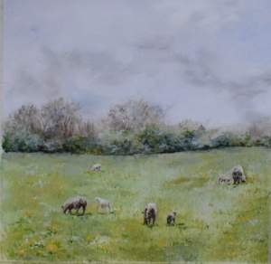 Spring meadow