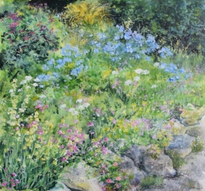 The rockery