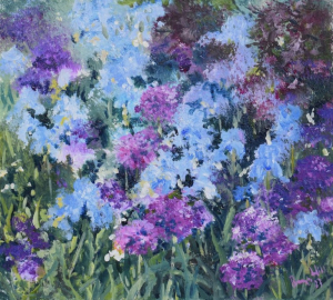 Irises and alliums in early morning sunshine
