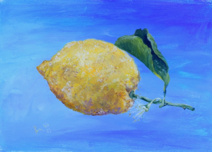 Amalfi lemon