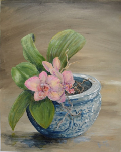 Orchid in a Chinese pot
