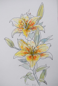 yellow lily
