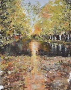 Autumn leaves on the Grand Canal, Dublin