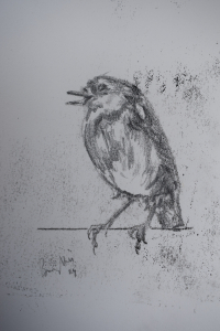 Robin