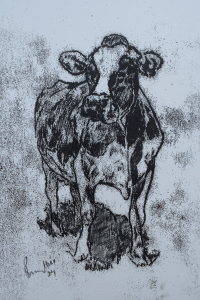 Study of a cow