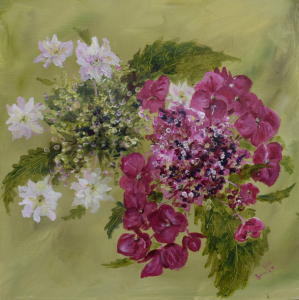 lace cap hydrangeas