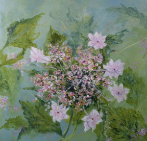 Star-like hydrangeas