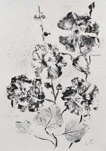 Hollyhocks