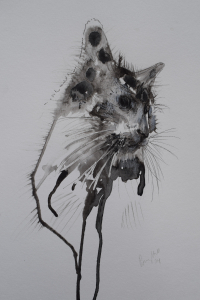 study of a cat