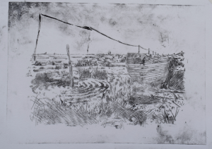 Derek Jarman's Garden, Dungeness