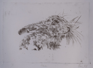 Study of a hare