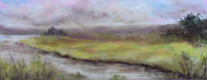 Wetlands