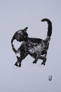 Big black cat
