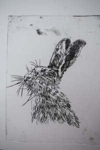 Study of hare 2