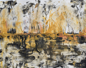 Eucalyptus forest after the fire and flood