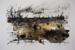 Murmuration over marshland