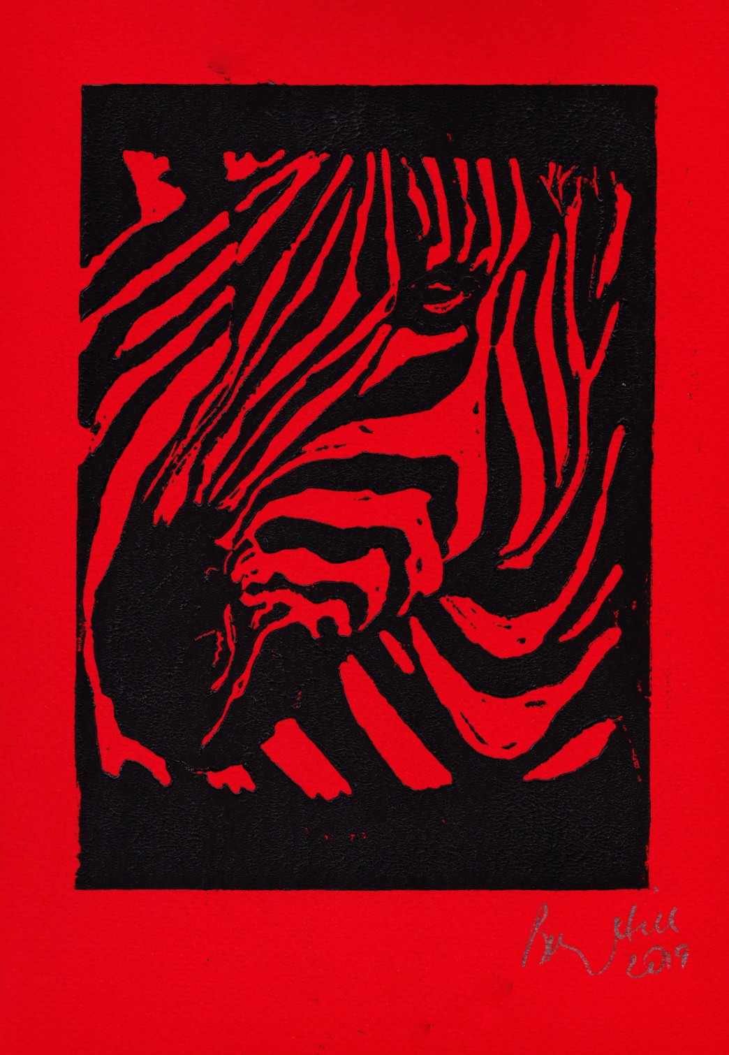 Zebras with a red background