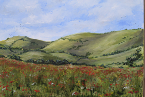 Poppies on the South Downs