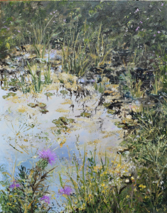 Reflections on Herrings Stream (2)