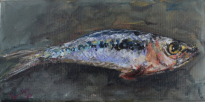 Sardine