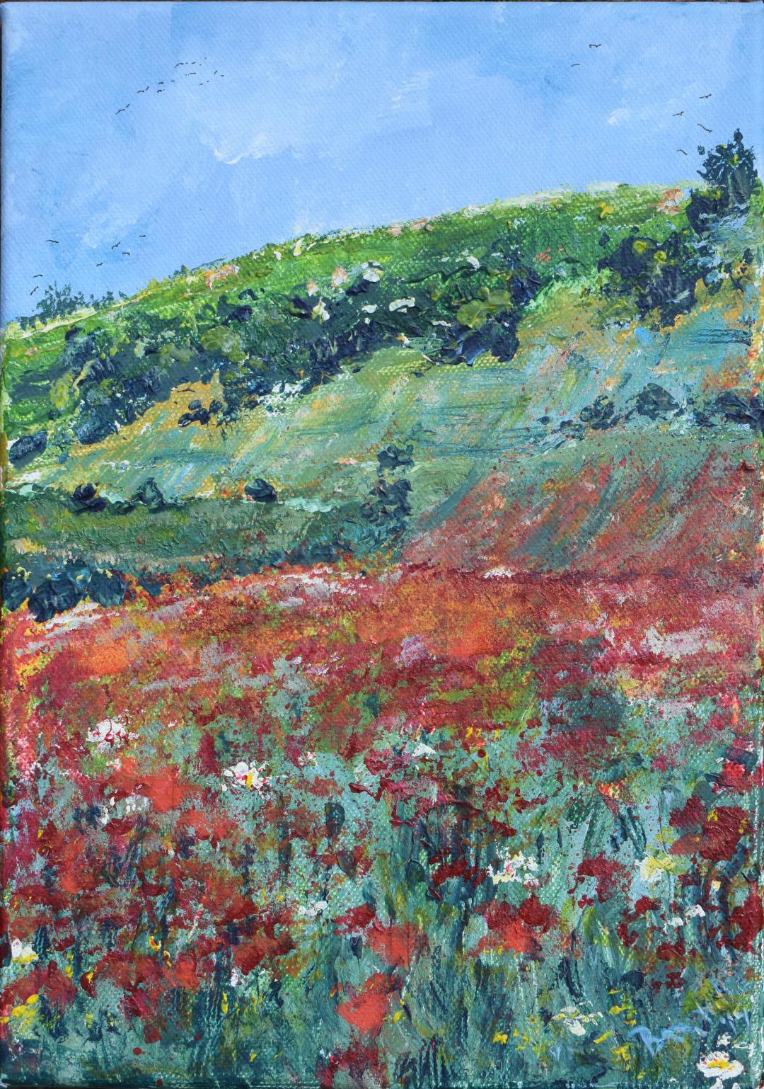 Poppies on the Downs at Saddlescombe